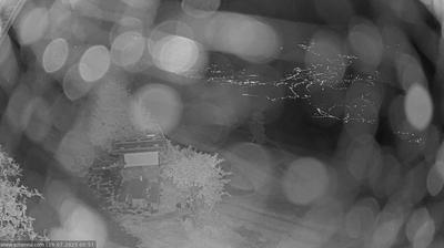 immagine della webcam nei dintorni di Ultimo: webcam Scena