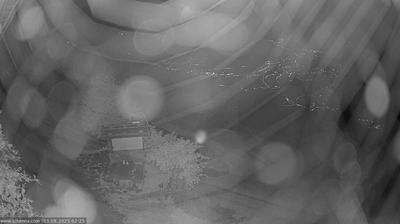 immagine della webcam nei dintorni di Sarentino: webcam Scena