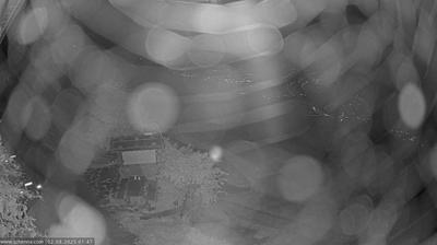 immagine della webcam nei dintorni di Cermes: webcam Scena