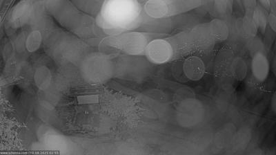 immagine della webcam nei dintorni di Avelengo: webcam Scena