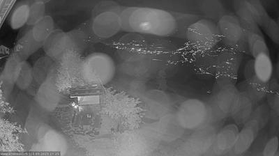 immagine della webcam nei dintorni di Tirolo: webcam Scena