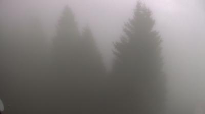 immagine della webcam nei dintorni di Curino: webcam Bielmonte