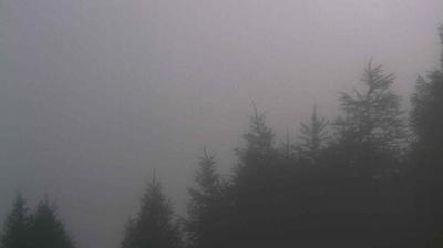immagine della webcam nei dintorni di Chiuro: webcam Teglio