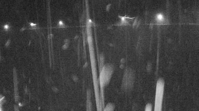 immagine della webcam nei dintorni di Poppi: webcam Ridracoli