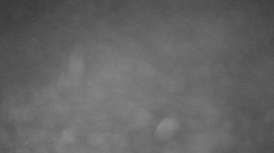 immagine della webcam nei dintorni di Campigna: webcam Ridracoli