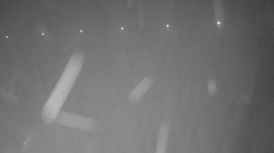 immagine della webcam nei dintorni di Campigna: webcam Ridracoli