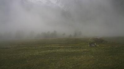 immagine della webcam nei dintorni di Montoso: webcam Bobbio Pellice