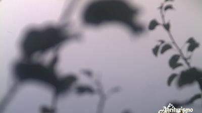 immagine della webcam nei dintorni di Palagano: webcam Canevare di Fanano