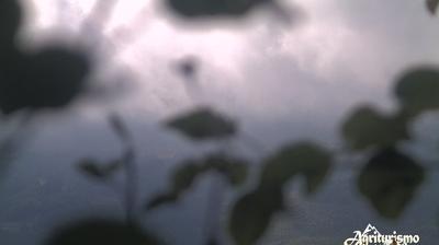immagine della webcam nei dintorni di Montepiano: webcam Fanano