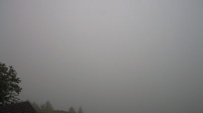 immagine della webcam nei dintorni di Val di Vizze: webcam Luson
