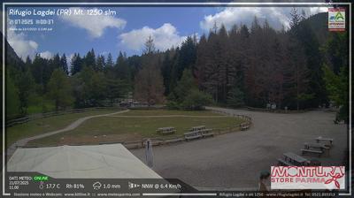 immagine della webcam nei dintorni di Pratospilla: webcam Trefiumi