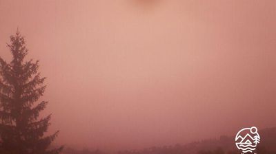 immagine della webcam nei dintorni di Chitignano: webcam Sansepolcro