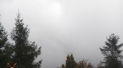 immagine della webcam nei dintorni di Sirtori: webcam Monte Cornizzolo