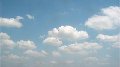 immagine della webcam nei dintorni di Pontedera: webcam Collodi