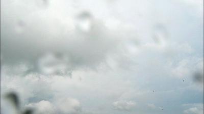 immagine della webcam nei dintorni di Monsummano Terme: webcam Collodi