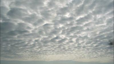 immagine della webcam nei dintorni di Pontedera: webcam Collodi