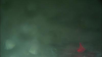 immagine della webcam nei dintorni di Quarrata: webcam Collodi