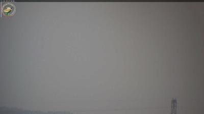 immagine della webcam nei dintorni di Pieve di Soligo: webcam Santa Lucia di Piave