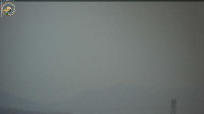 immagine della webcam nei dintorni di Vittorio Veneto: webcam Santa Lucia di Piave