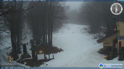 immagine della webcam nei dintorni di Montemignaio: webcam Campigna