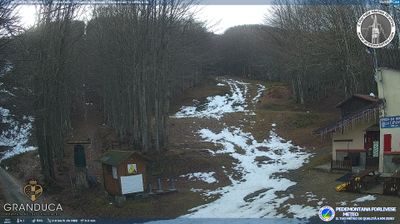 immagine della webcam nei dintorni di Reggello: webcam Campigna