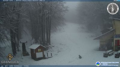 immagine della webcam nei dintorni di Passo della Consuma: webcam Campigna