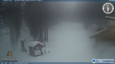 immagine della webcam nei dintorni di Pelago: webcam Campigna