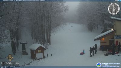 immagine della webcam nei dintorni di Ortignano Raggiolo: webcam Campigna