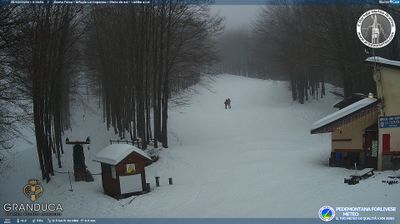 immagine della webcam nei dintorni di Chiusi della Verna: webcam Campigna