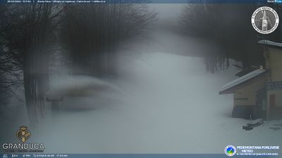 immagine della webcam nei dintorni di Pratovecchio: webcam Campigna