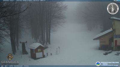 immagine della webcam nei dintorni di Passo della Consuma: webcam Campigna