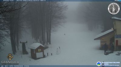 immagine della webcam nei dintorni di Stia: webcam Campigna