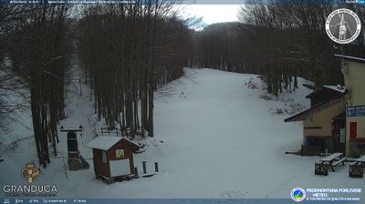 immagine della webcam nei dintorni di Chitignano: webcam Campigna