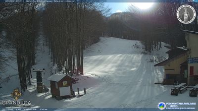 immagine della webcam nei dintorni di Ortignano Raggiolo: webcam Campigna
