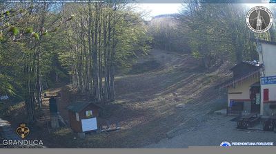 immagine della webcam nei dintorni di Badia Prataglia: webcam Campigna