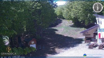 immagine della webcam nei dintorni di Ortignano Raggiolo: webcam Campigna