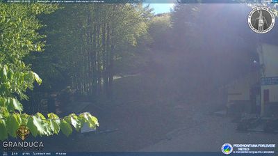 immagine della webcam nei dintorni di Chiusi della Verna: webcam Campigna
