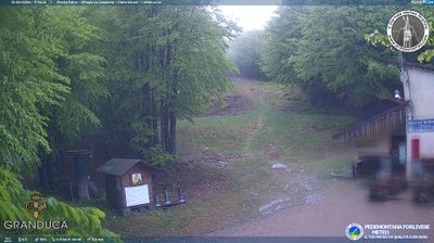 immagine della webcam nei dintorni di Passo della Consuma: webcam Campigna