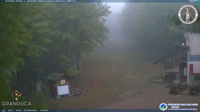 immagine della webcam nei dintorni di Incisa in Val d'Arno: webcam Campigna