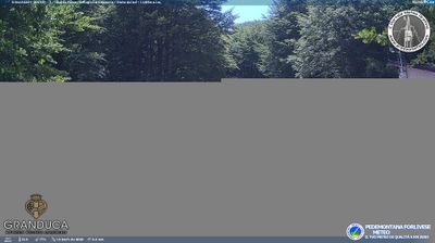immagine della webcam nei dintorni di Stia: webcam Campigna
