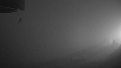 immagine della webcam nei dintorni di Pordenone: webcam Piave