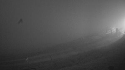 immagine della webcam nei dintorni di Tambre: webcam Piave