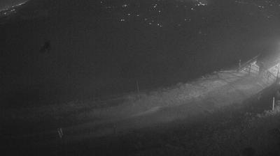 immagine della webcam nei dintorni di Belluno: webcam Piave