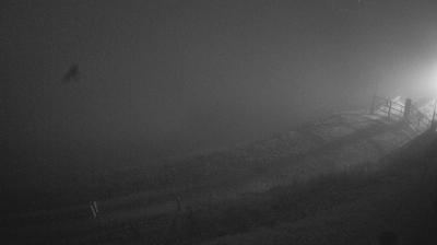 immagine della webcam nei dintorni di Vittorio Veneto: webcam Piave