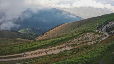 immagine della webcam nei dintorni di Ponte nelle Alpi: webcam Piave
