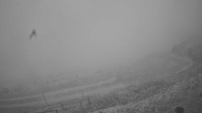 immagine della webcam nei dintorni di Miane: webcam Piave