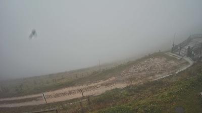 immagine della webcam nei dintorni di Limana: webcam Piave