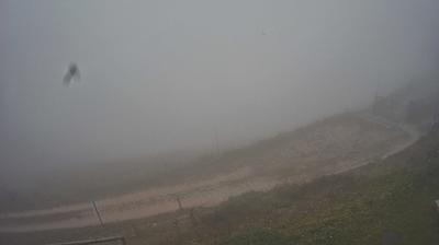 immagine della webcam nei dintorni di Belluno: webcam Piave