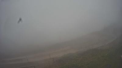 immagine della webcam nei dintorni di Pian del Cansiglio: webcam Piave