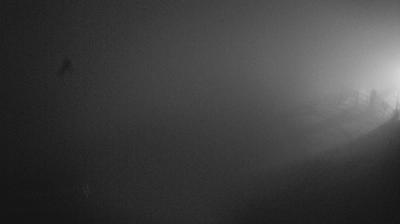 immagine della webcam nei dintorni di Limana: webcam Piave